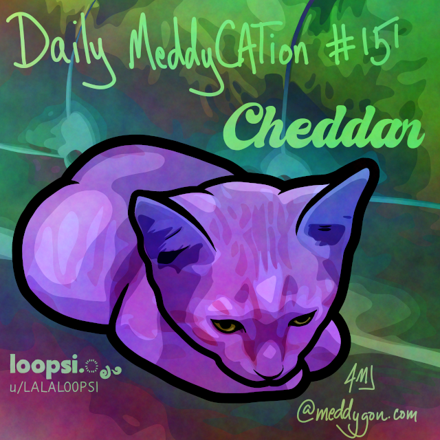 Daily MeddyCATion #151