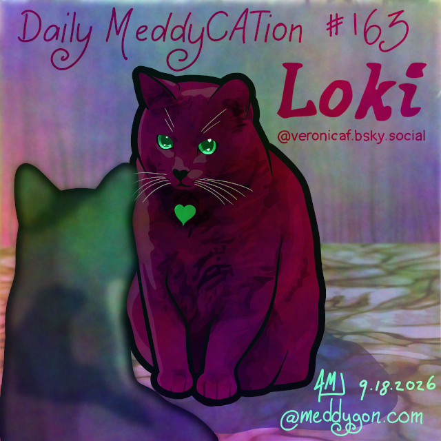 Daily MeddyCATion #163